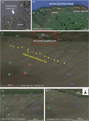 Spatial and temporal patterns of microphytobenthos communities along the marine-terrestrial boundary in the German Wadden Sea